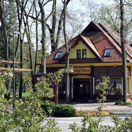 Villa Hotel Debrecen Eksteriør billede
