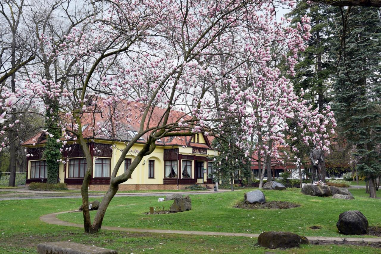 Villa Hotel Debrecen Eksteriør billede