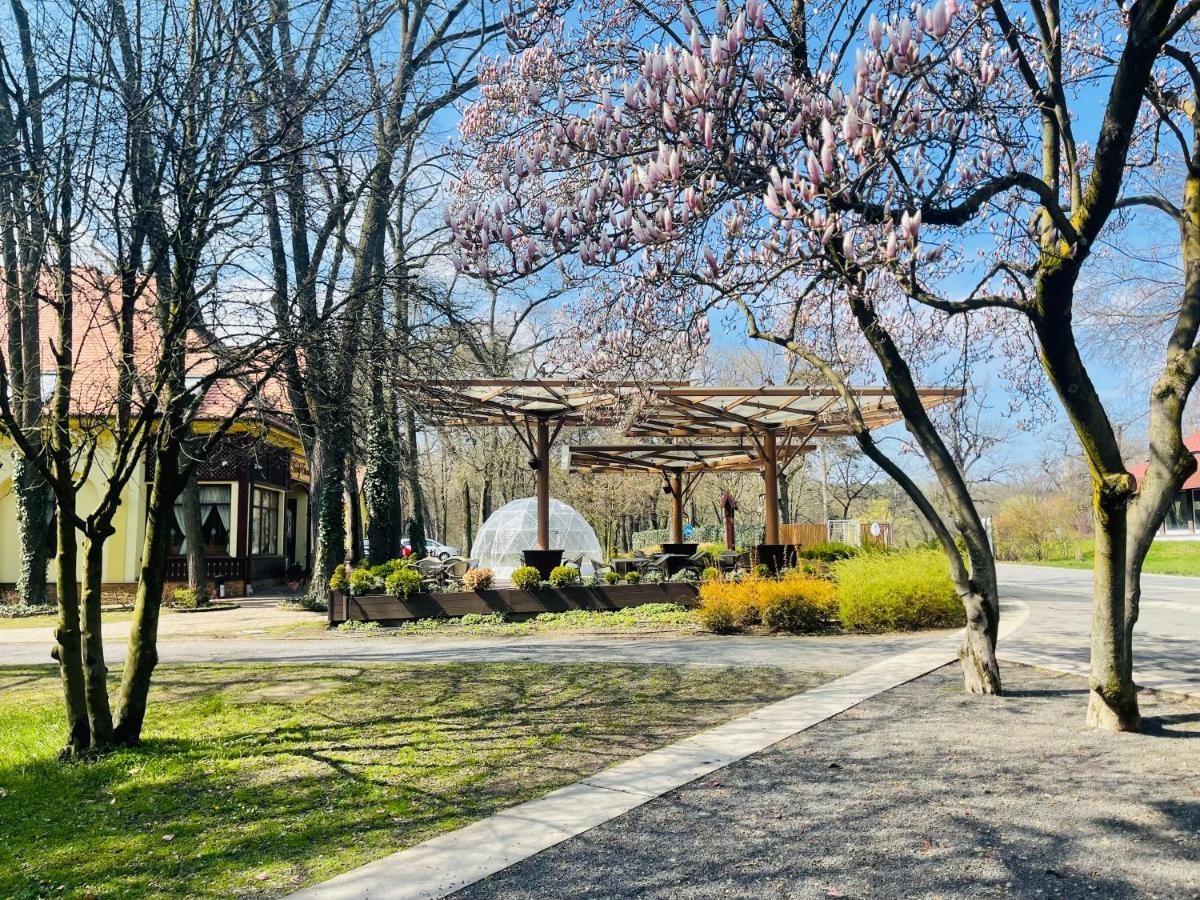 Villa Hotel Debrecen Eksteriør billede